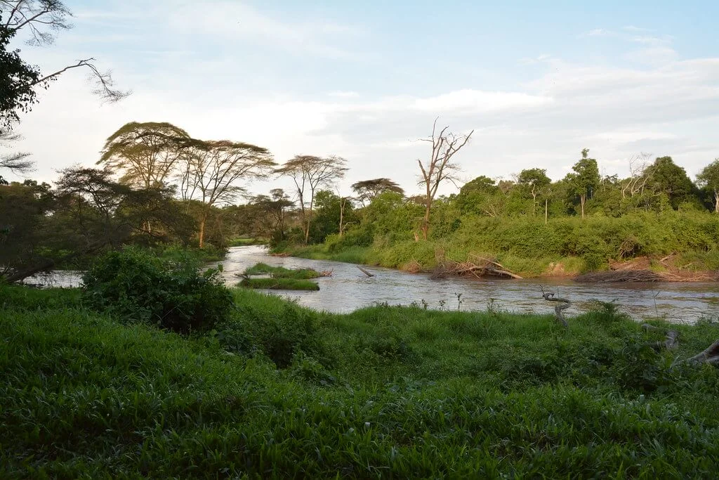 Ishasha River, Ouganda