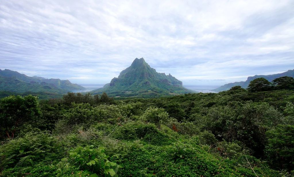 Mont Tohiea, Polynésie française