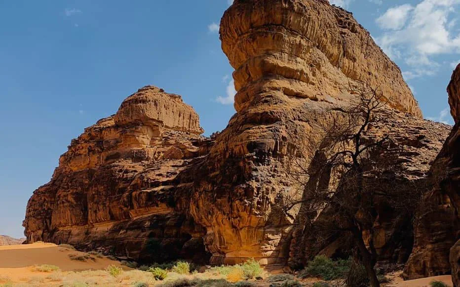 Réserve naturelle de Sharaan, Arabie saoudite