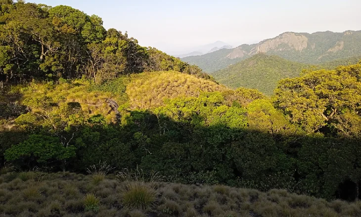 Mont Mabu, Mozambique