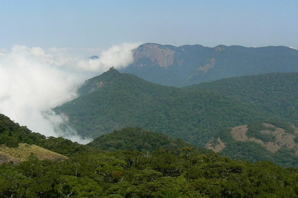 Mont Mabu, Mozambique
