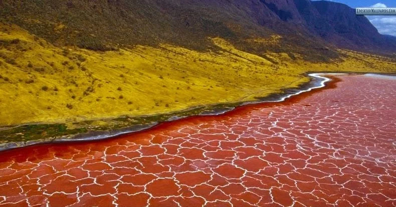 Lac Natron, Tanzanie, Kenya