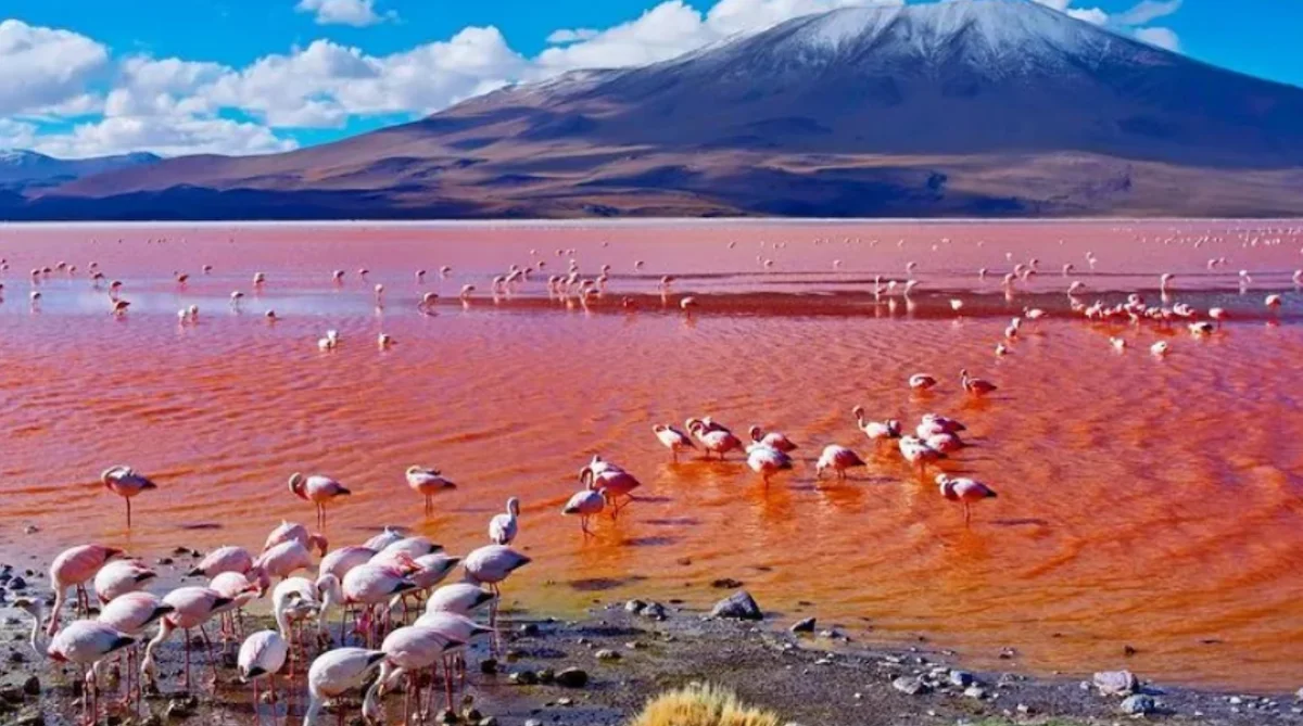 Lac Natron, Tanzanie, Kenya