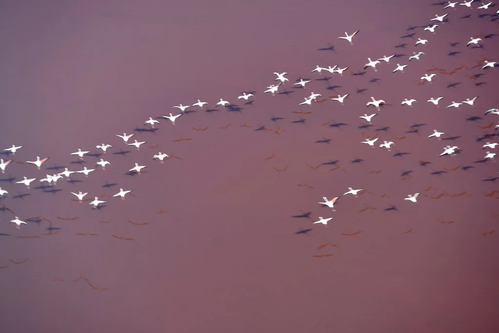 Lac Natron, Tanzanie, Kenya