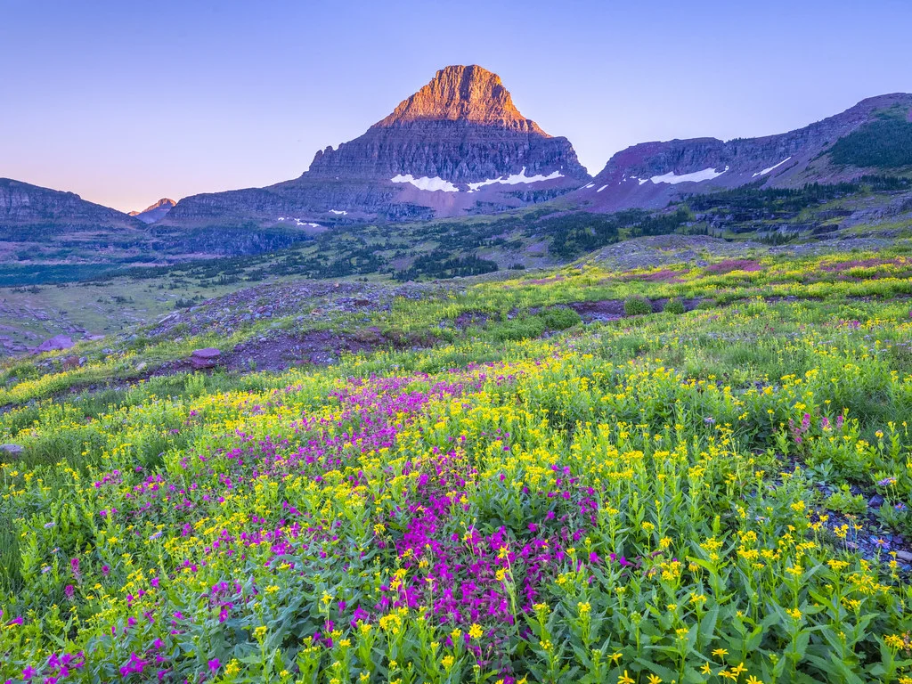 Mont Reynolds, États-Unis