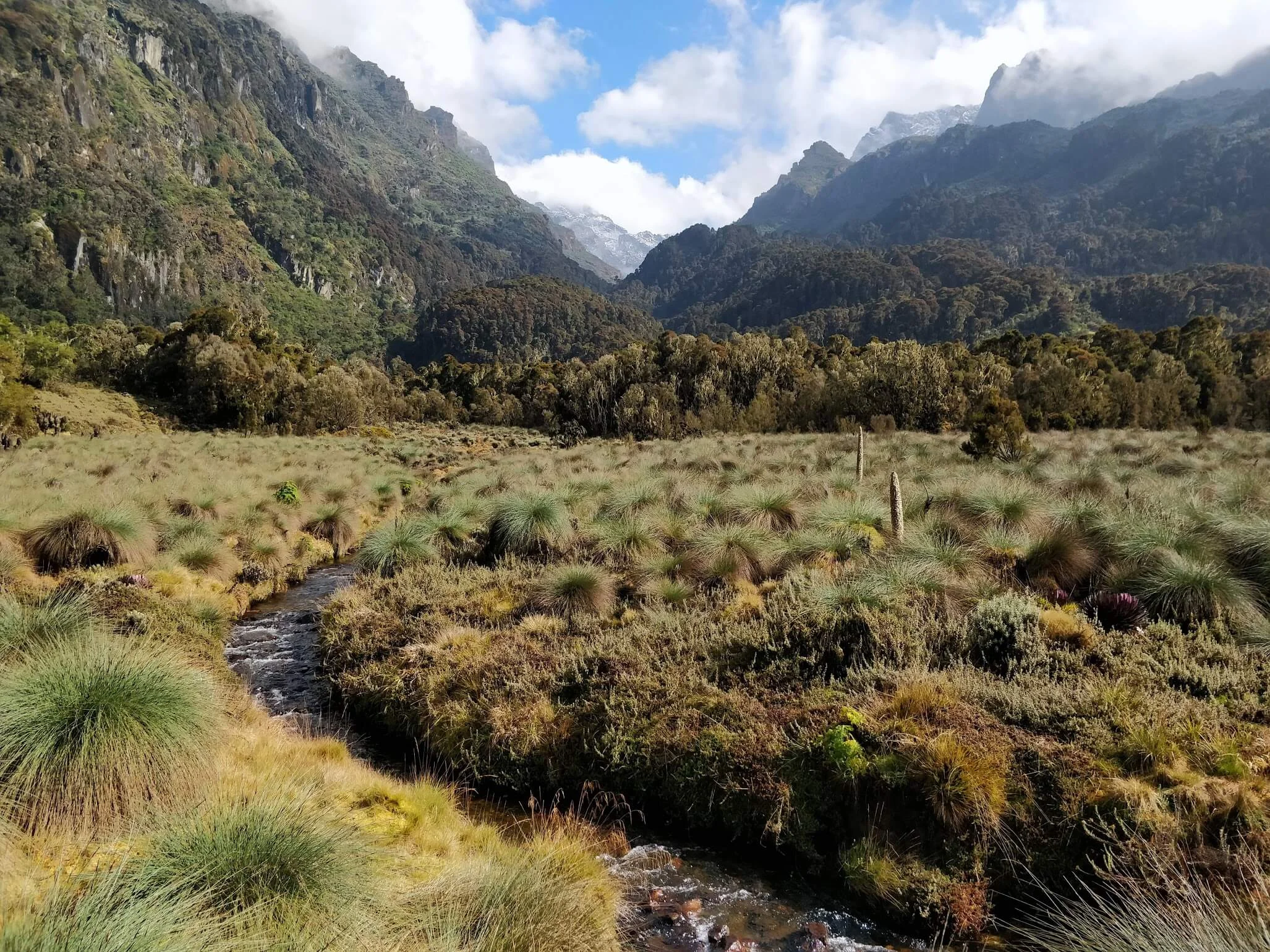 Monts Rwenzori, République démocratique du Congo, Ouganda