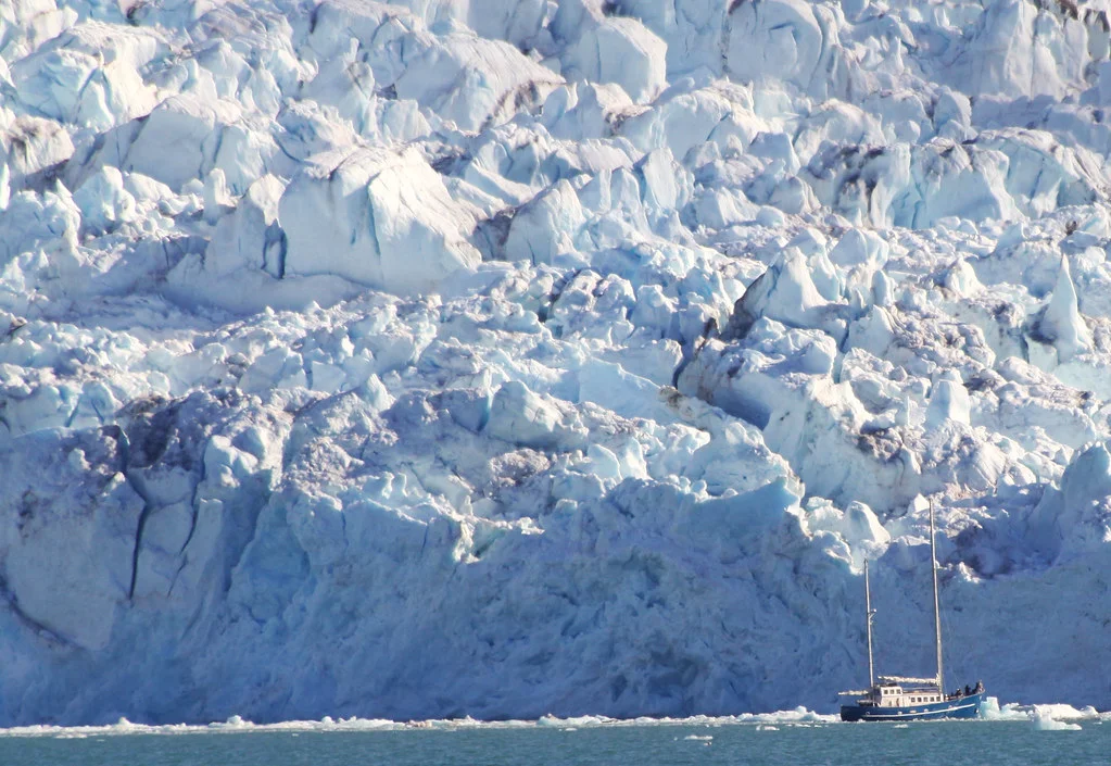 Blomstrandbreen, Svalbard et Jan Mayen