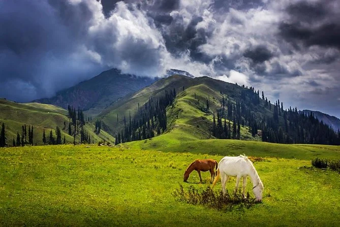 Vallée de Kaghan, Pakistan