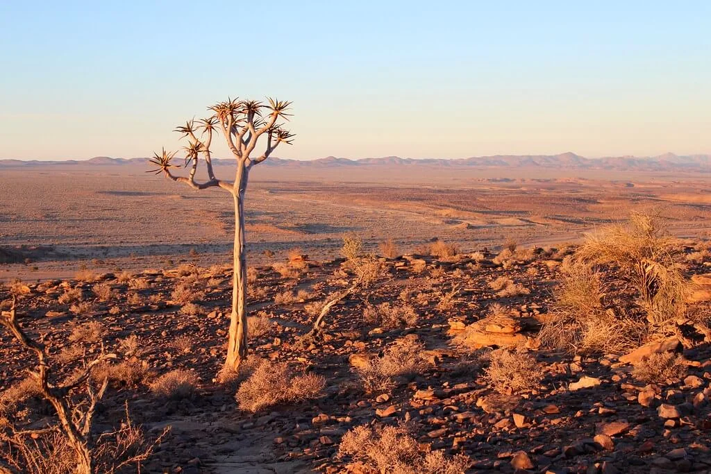 Désert du Kalahari, Botswana, Botswana, Botswana, Botswana, Namibie, Namibie, Namibie, Botswana, Afrique du Sud, Botswana