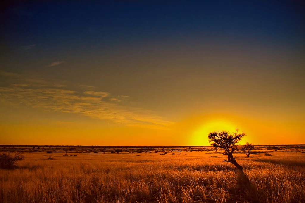 Désert du Kalahari, Botswana, Botswana, Botswana, Botswana, Namibie, Namibie, Namibie, Botswana, Afrique du Sud, Botswana