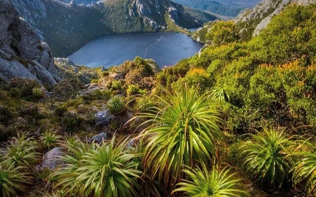 Parc national Southwest, Australie, Tasmanie