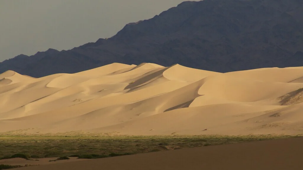 Dunes de Khongor, Mongolie