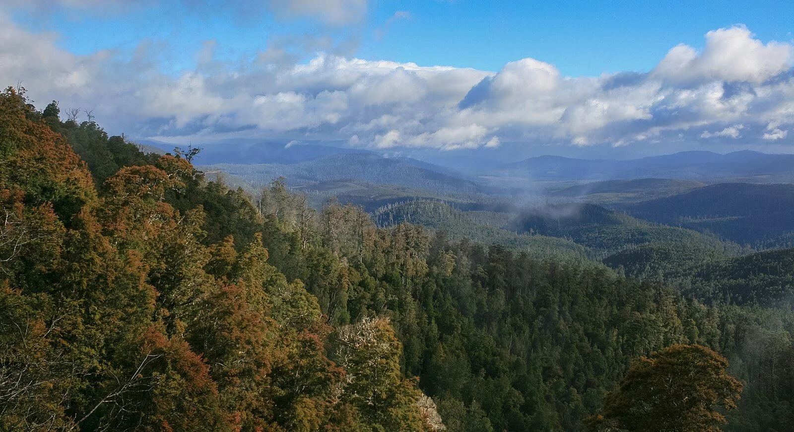Parc national des Hartz Mountains, Australie, Tasmanie