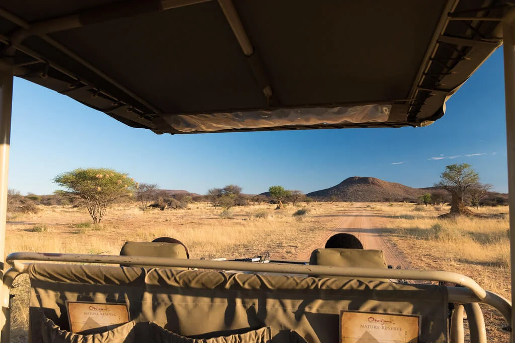 Réserve Naturelle Okonjima, Namibie