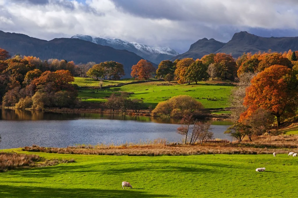 Loughrigg Fell, Angleterre