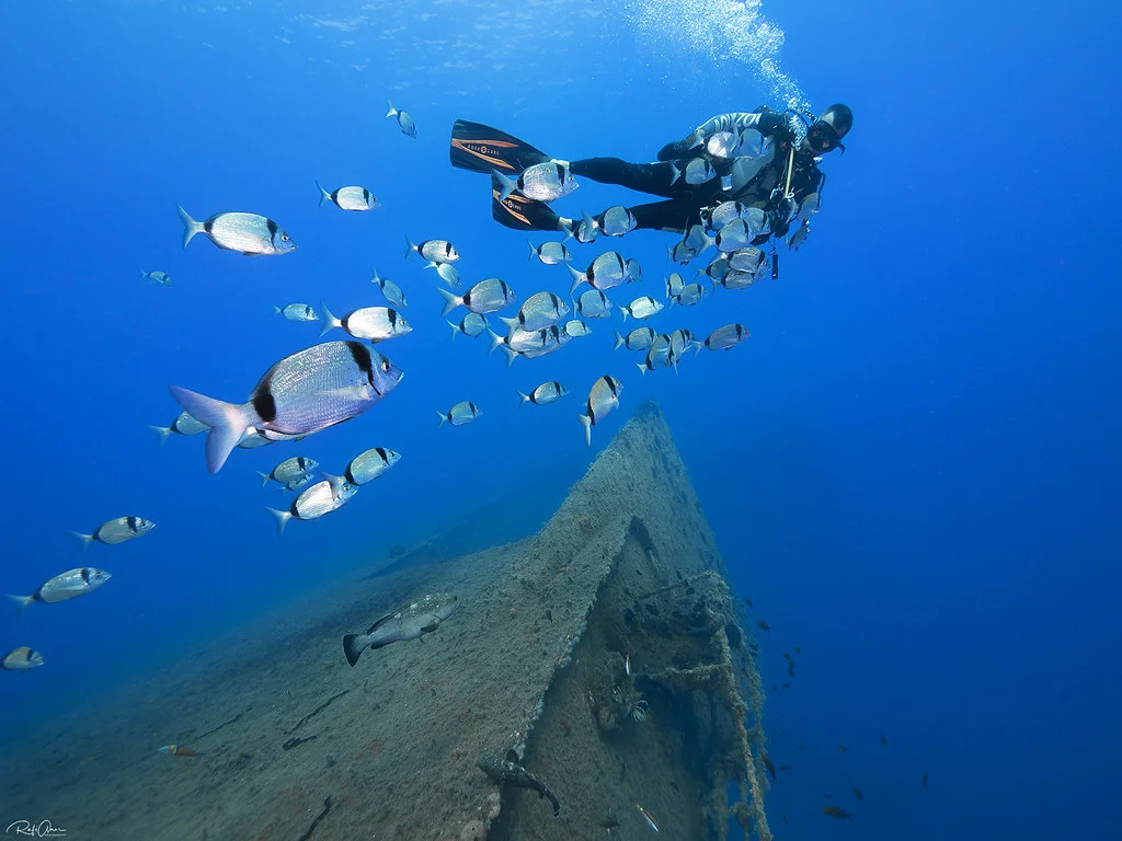 Épave du Zenobia, Chypre