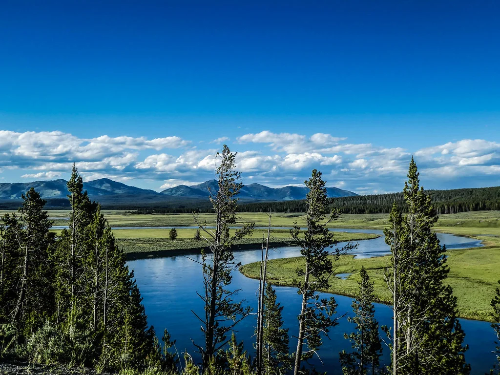 Hayden Valley, États-Unis