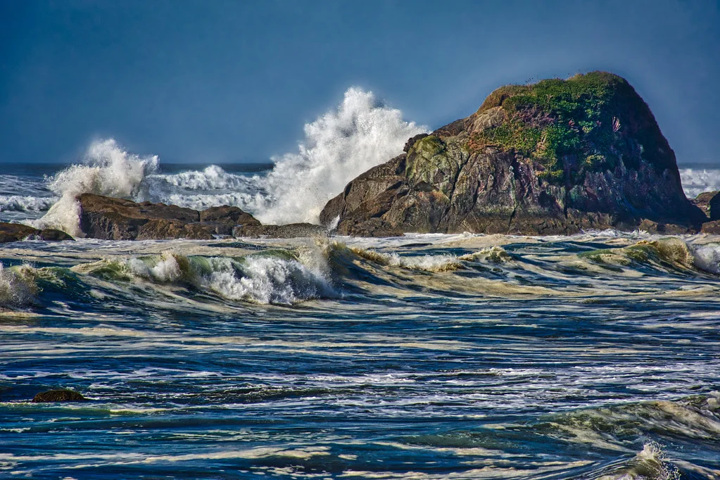 Kalaloch Beach, États-Unis
