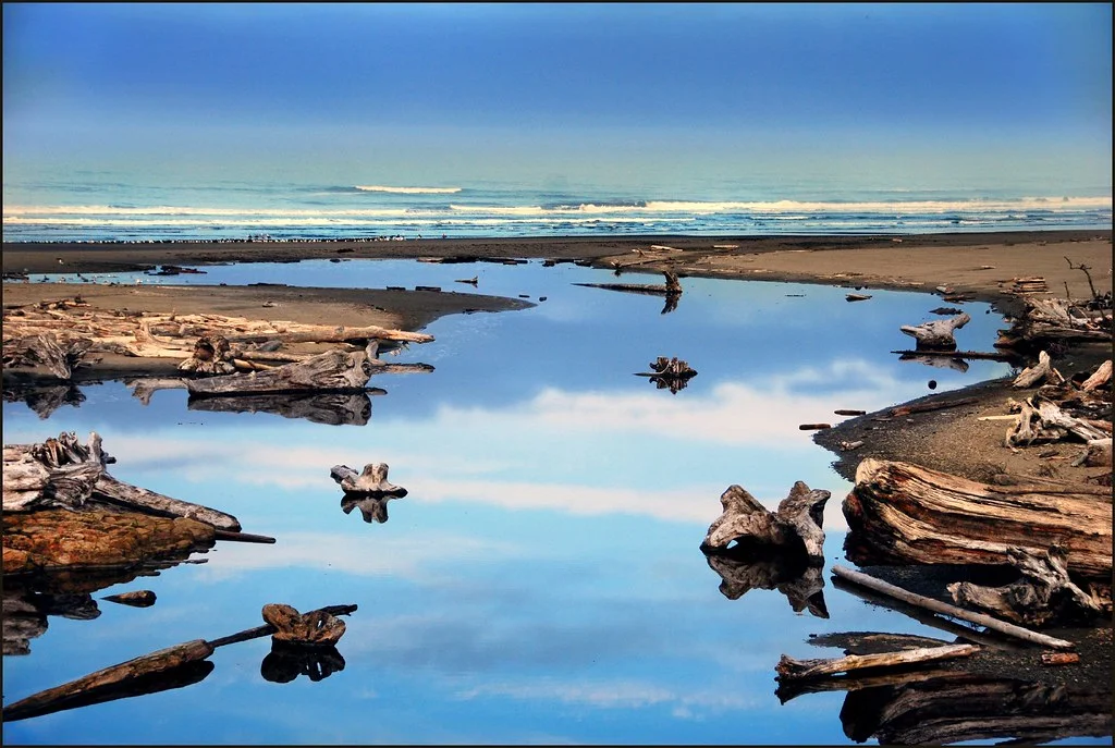Kalaloch Beach, États-Unis