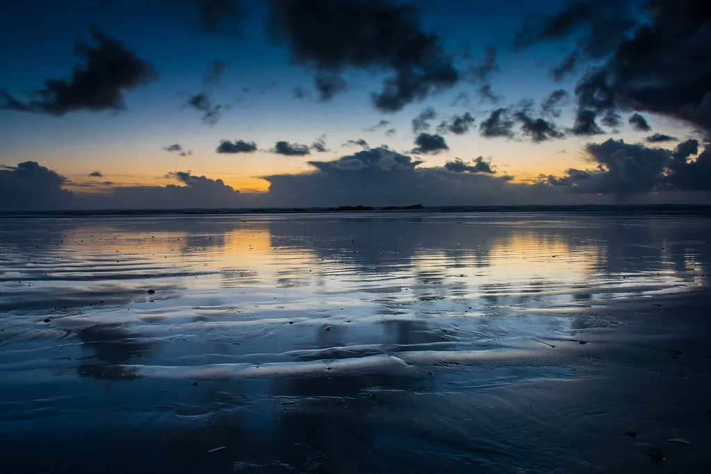 Kalaloch Beach, États-Unis