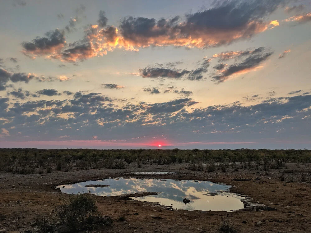 Moringa Waterhole, Namibie