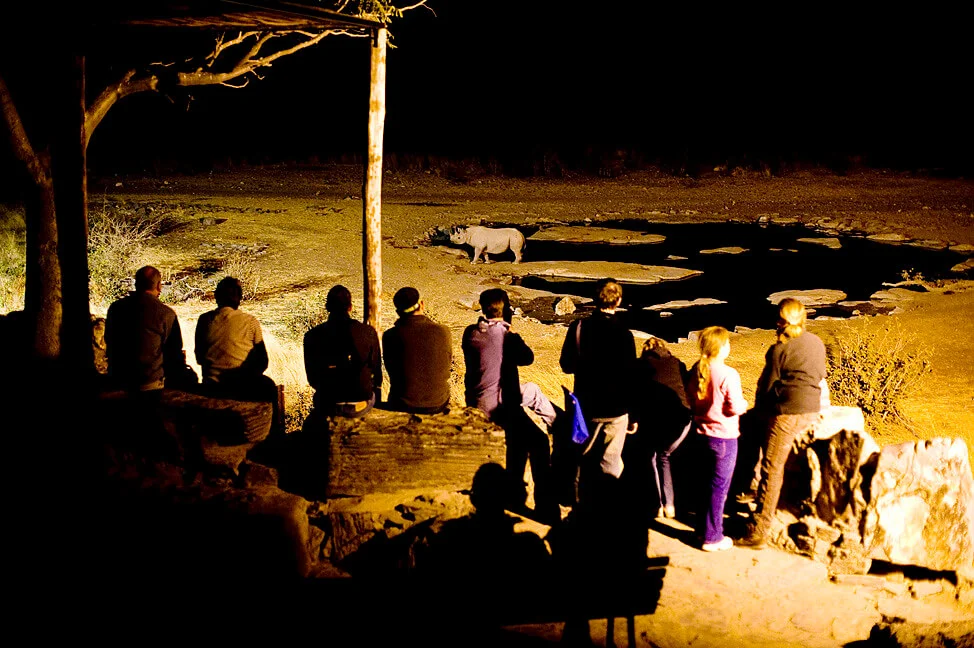 Moringa Waterhole, Namibie