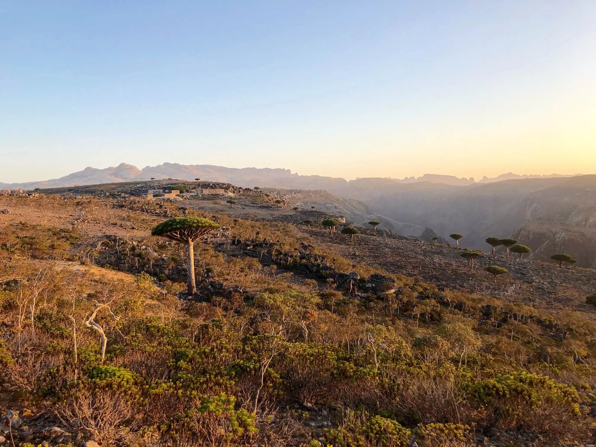 Shebahon viewpoint, Yémen, Socotra