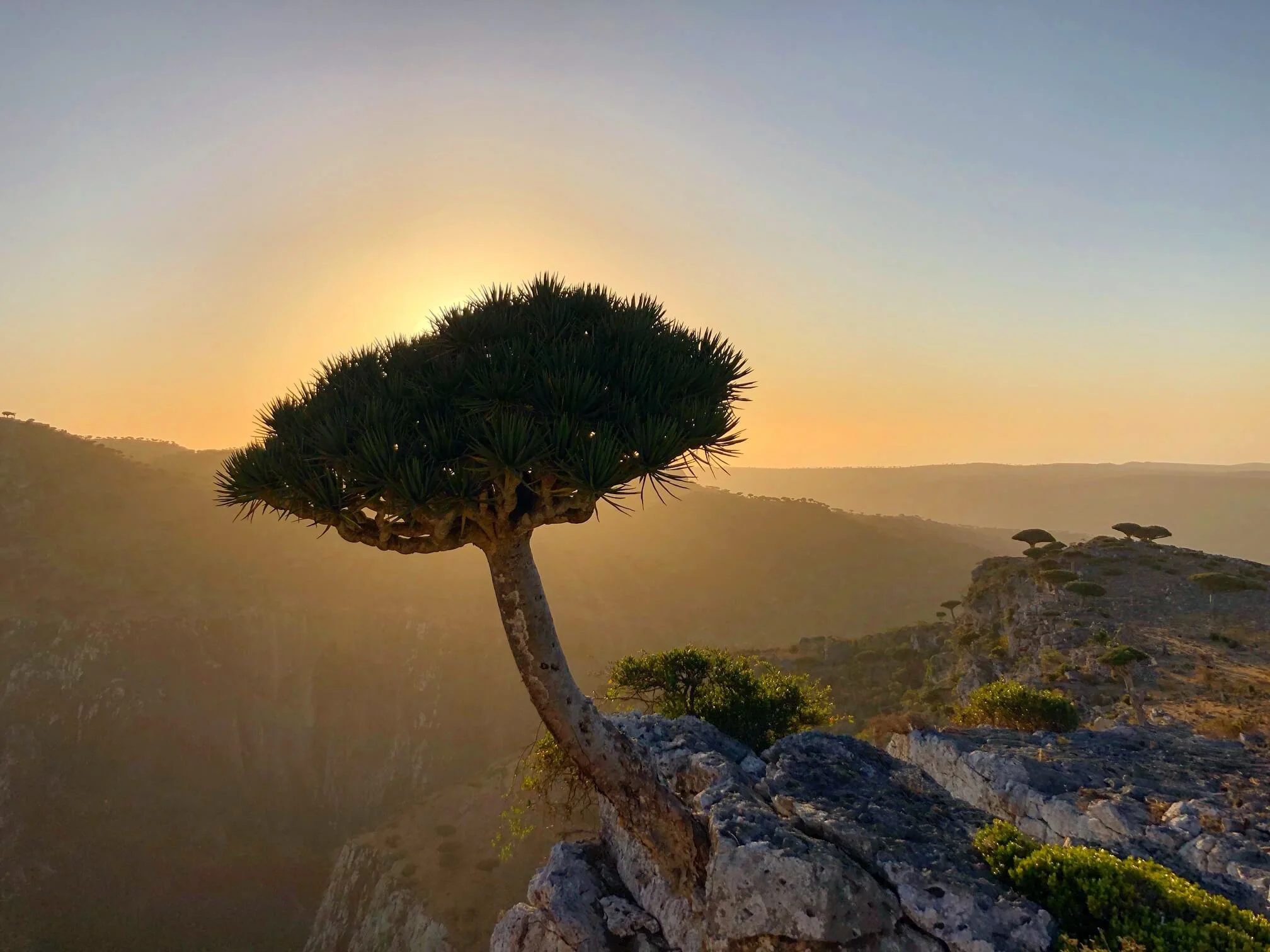 Shebahon viewpoint, Yémen, Socotra