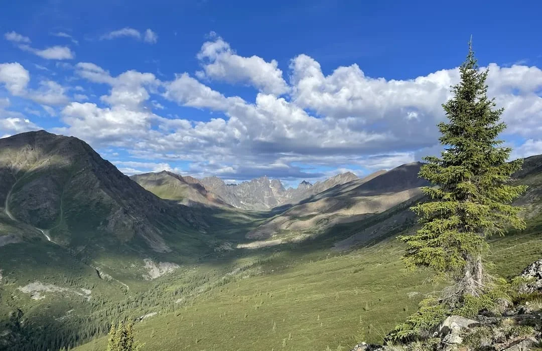 Grizzly Lake, Canada