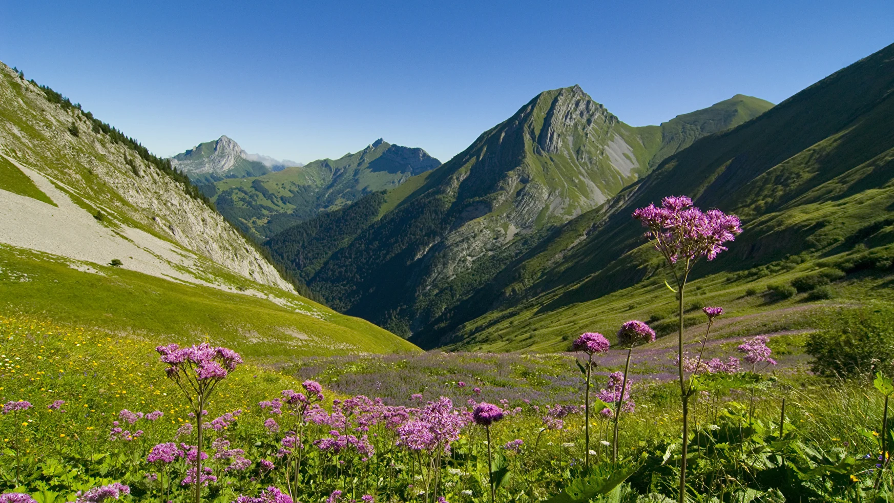 Massif des Bauges, France