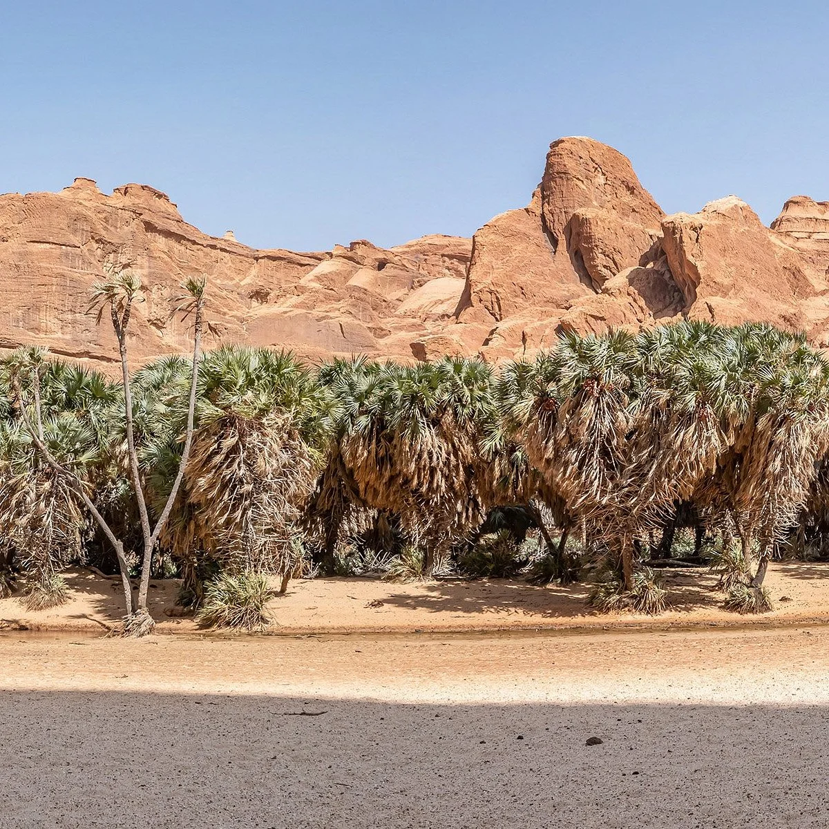 Guelta de Bachikele, Tchad