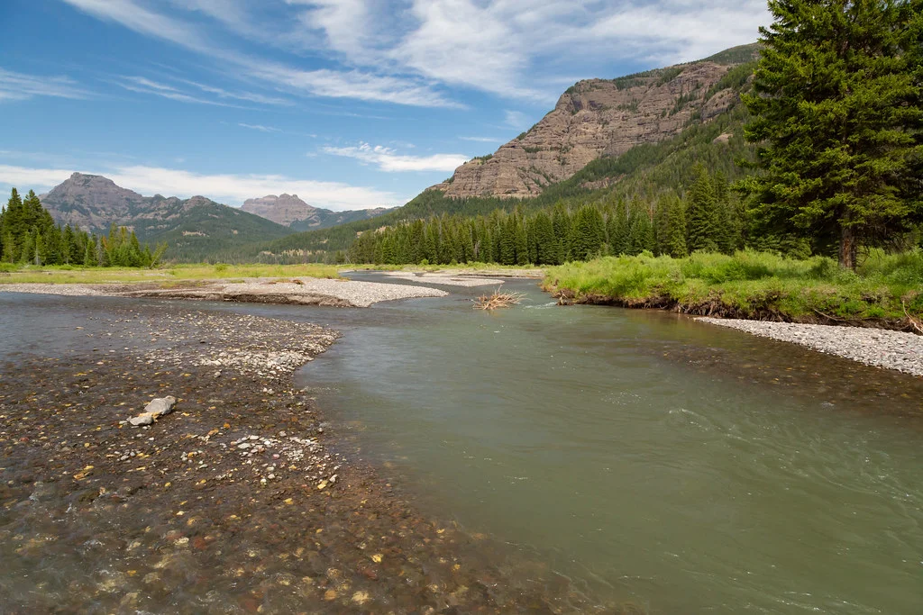 Lamar Valley, États-Unis