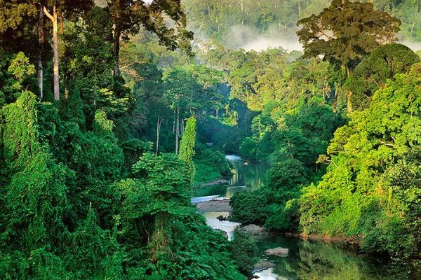 Parc national Corcovado, Costa Rica
