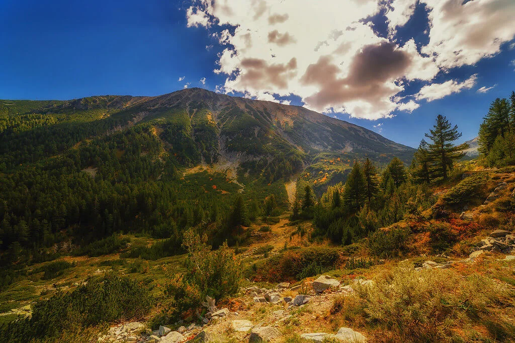 Parc national du Pirin, Bulgarie