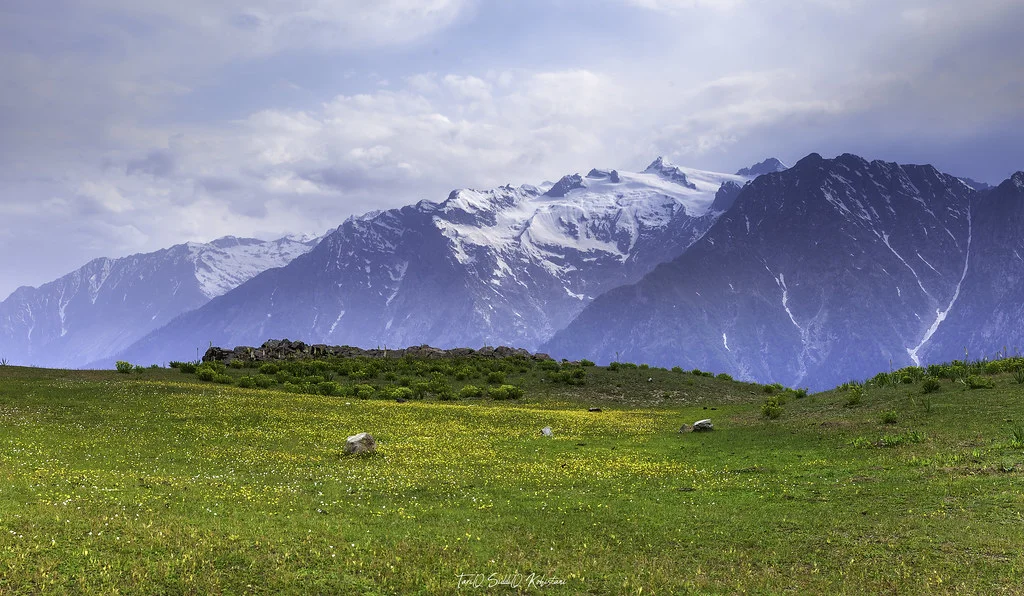 Beshai Meadows, Pakistan
