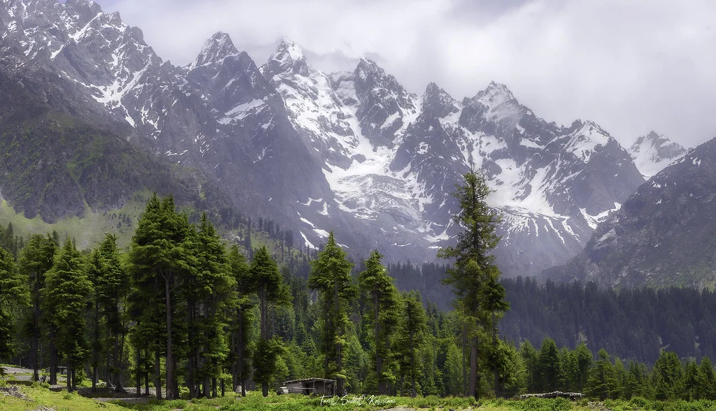 Beshai Meadows, Pakistan