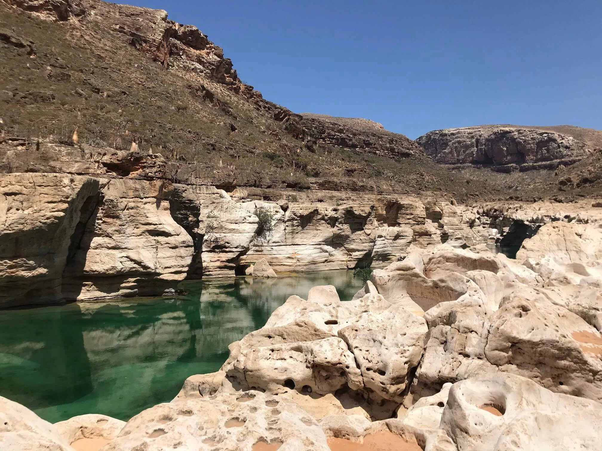 Wadi Kalysan, Yémen, Socotra