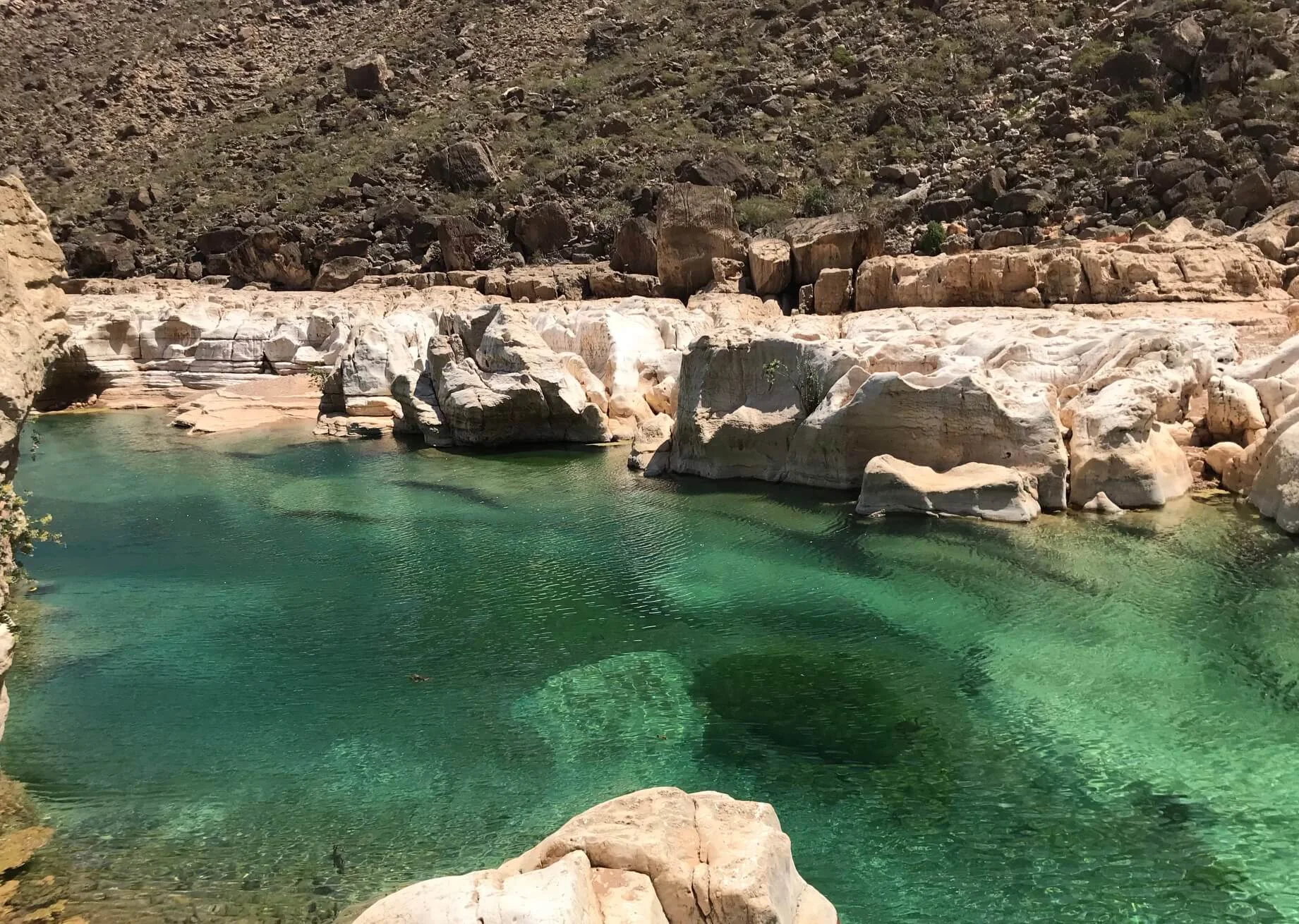 Wadi Kalysan, Yémen, Socotra