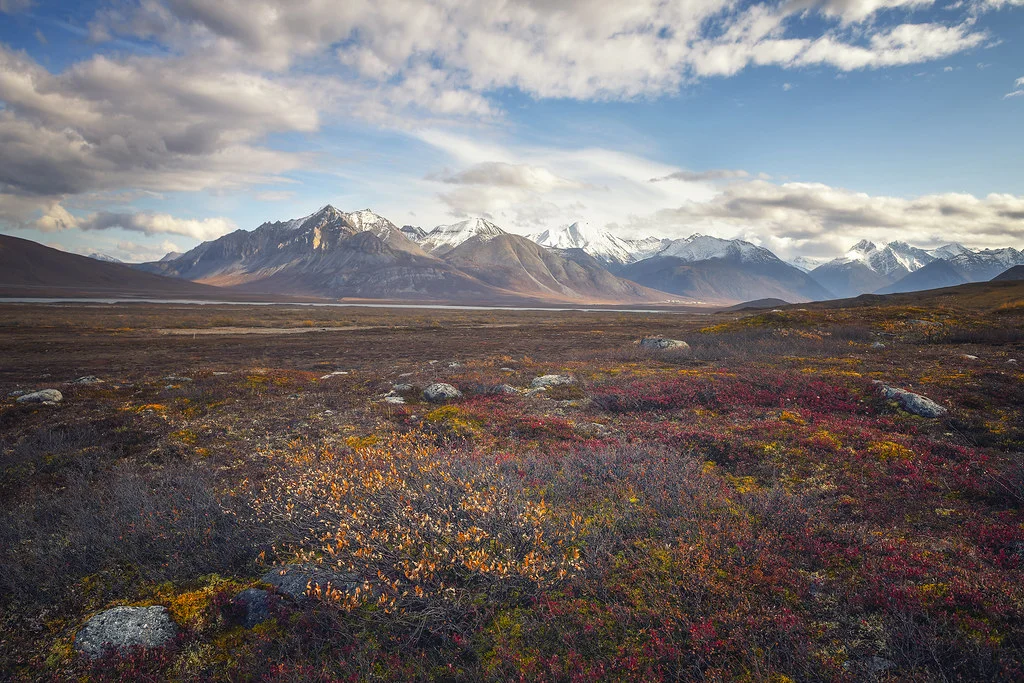 Parc national et réserve Gates of the Arctic, États-Unis