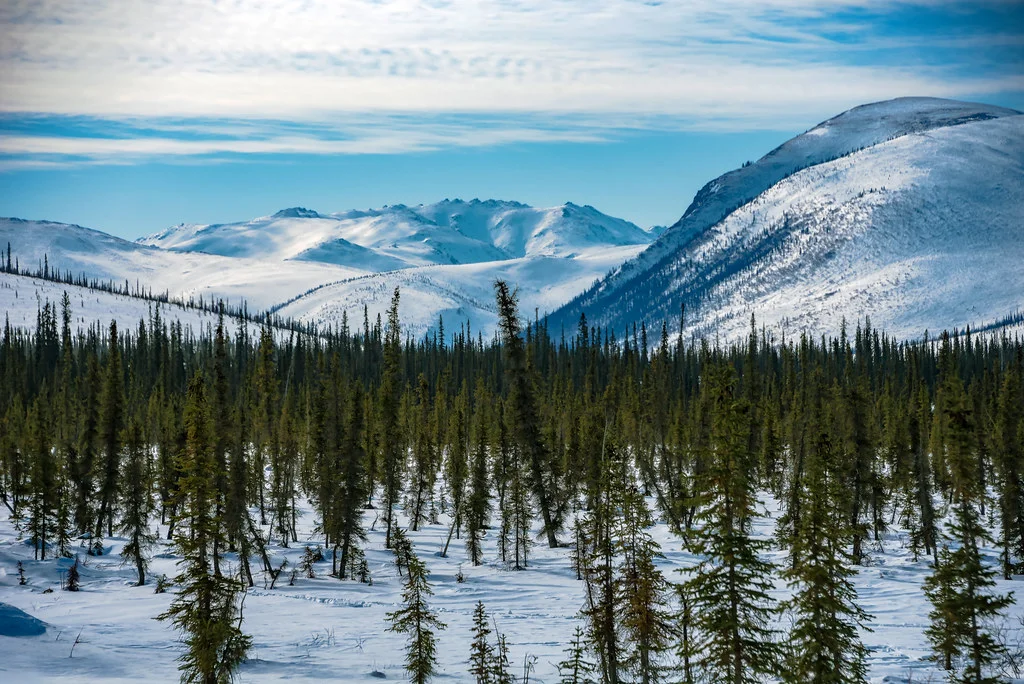 Parc national et réserve Gates of the Arctic, États-Unis