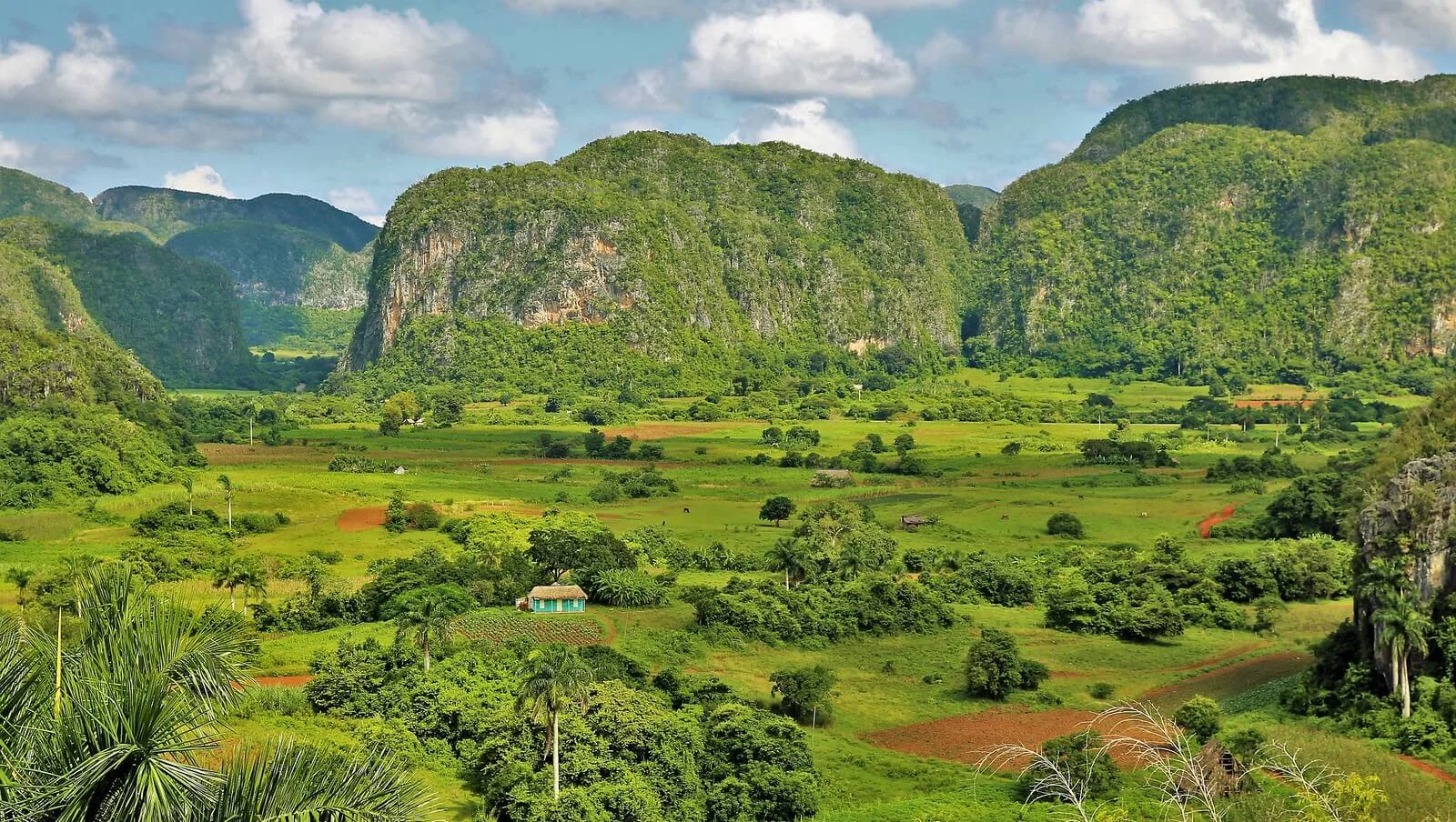 Vallée de Vinales, Cuba