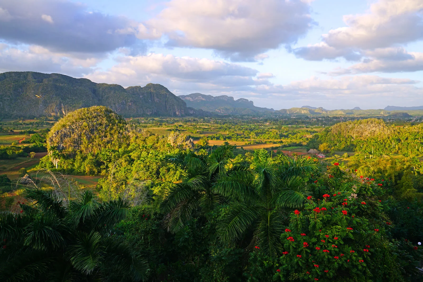 Vallée de Vinales, Cuba