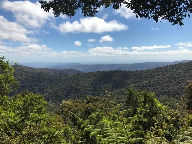 Border Track, Australie