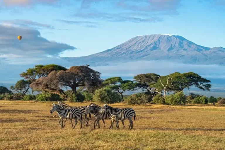 Kilimandjaro, Tanzanie