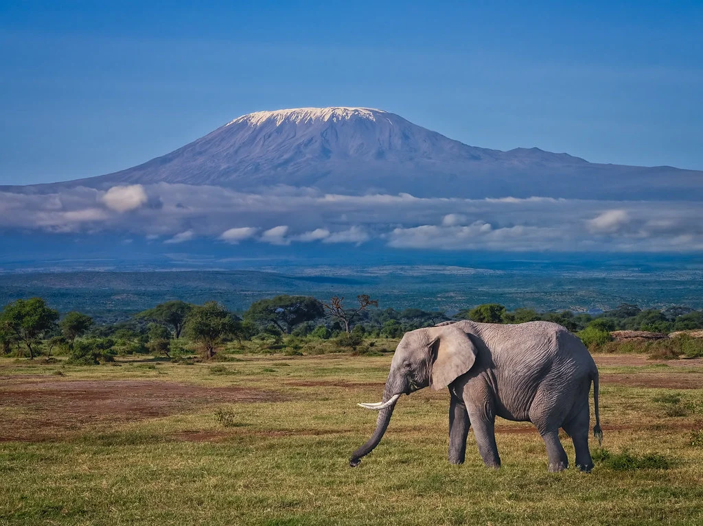 Kilimandjaro, Tanzanie