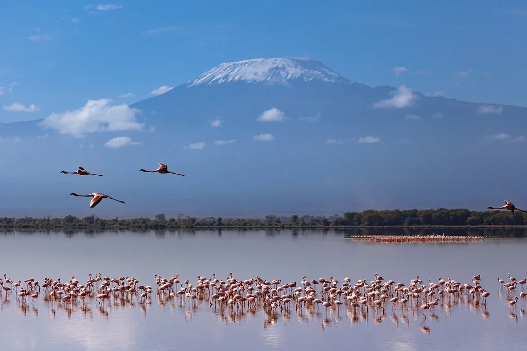 Kilimandjaro, Tanzanie