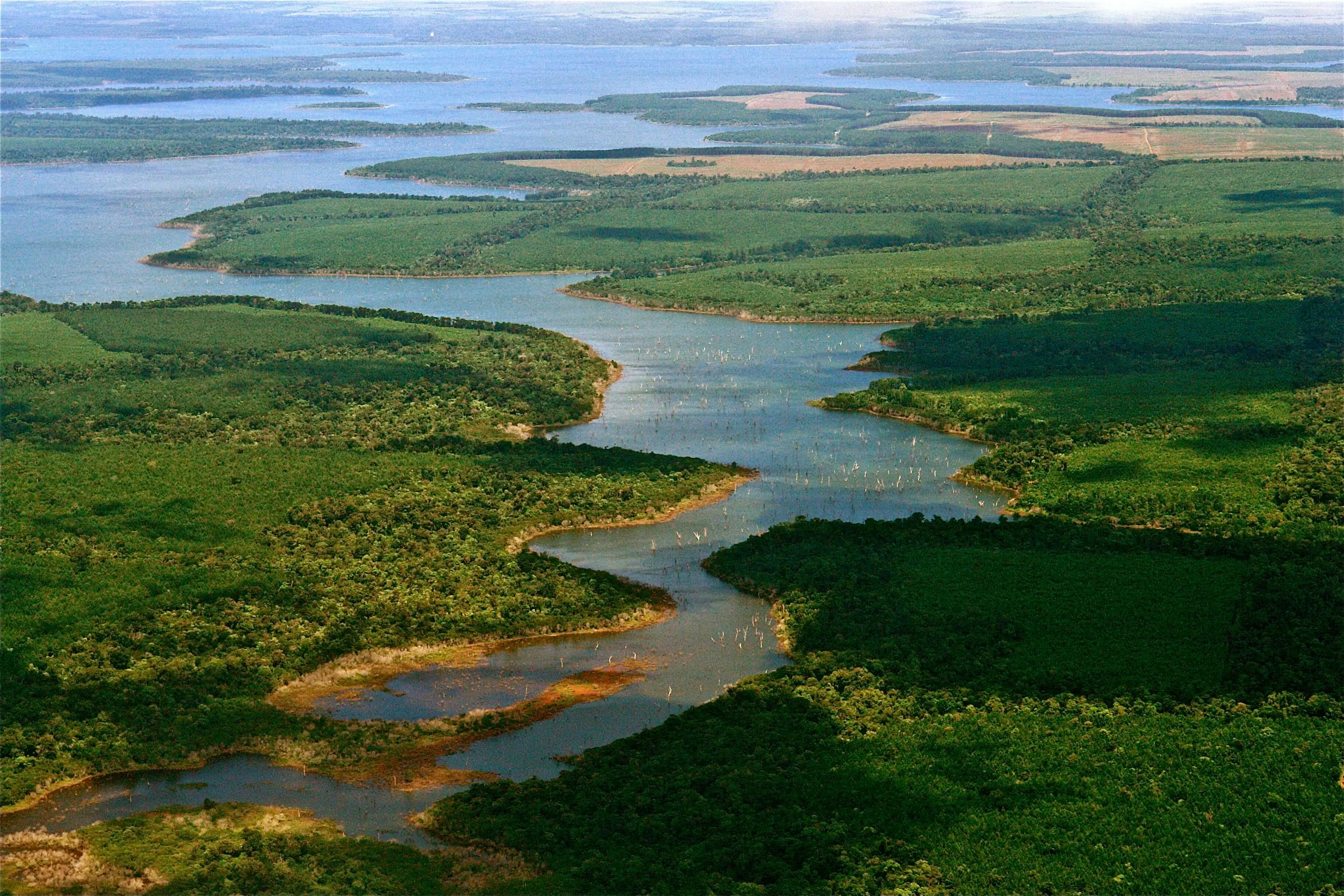 Réserve naturelle de l'Iberá, Argentine