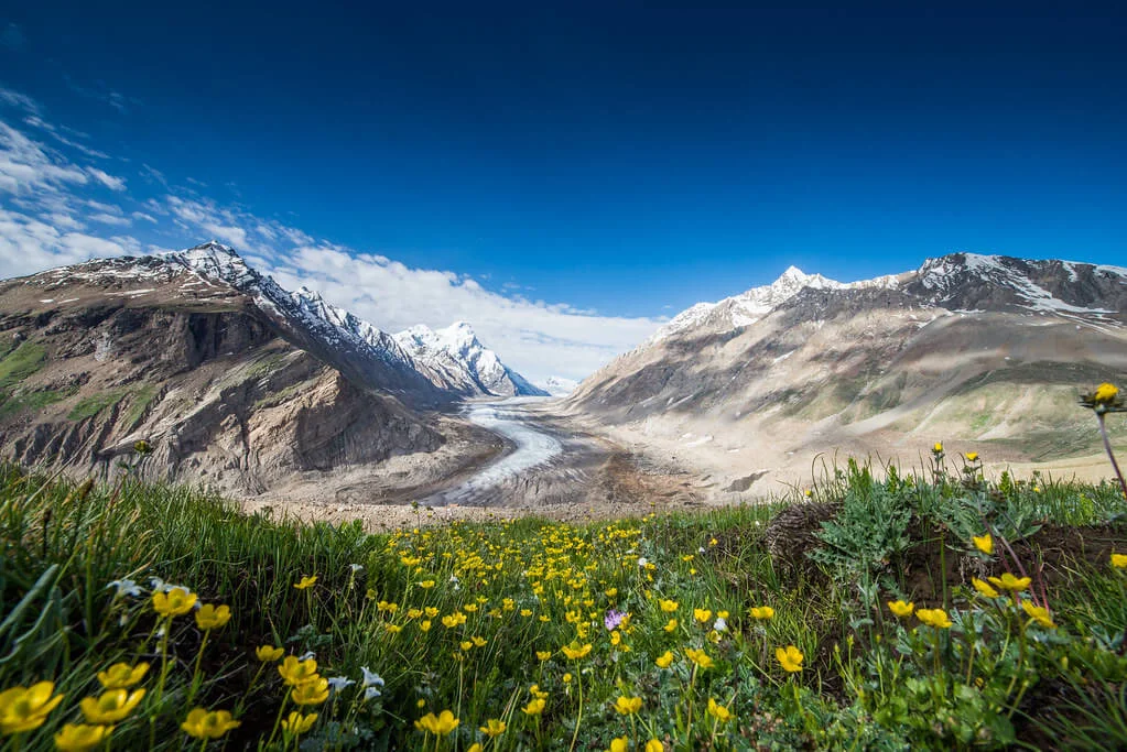 Glacier Drang-Drung, Inde