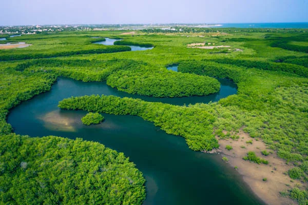 Casamance, Sénégal, Sénégal, Sénégal