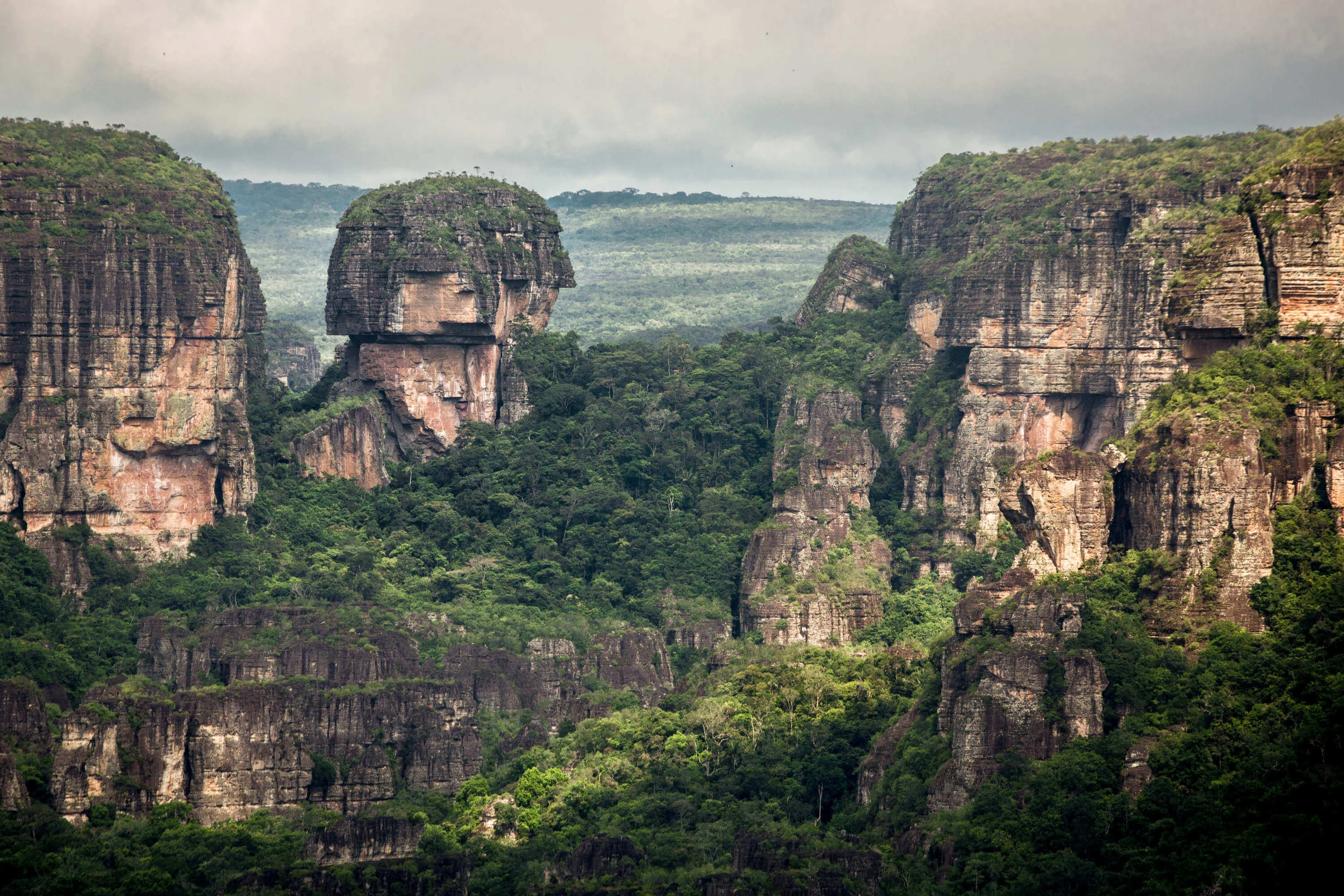 Parc national naturel de la Serrania de Chiribiquete, Colombie, Colombie